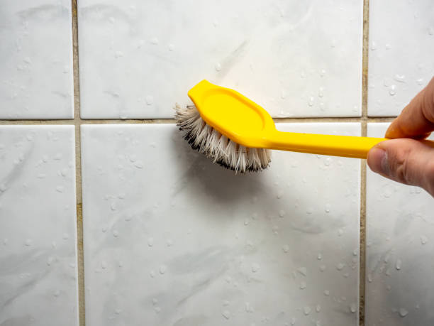 Best Emergency Mold Remediation in Marietta Alderwood, WA