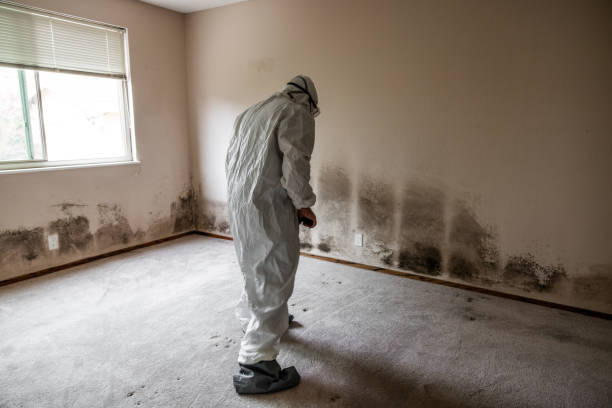 Best Bathroom Mold Remediation in Marietta Alderwood, WA