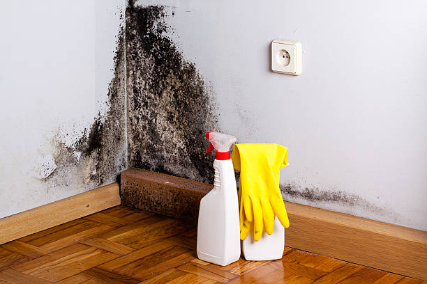 HVAC Mold Remediation